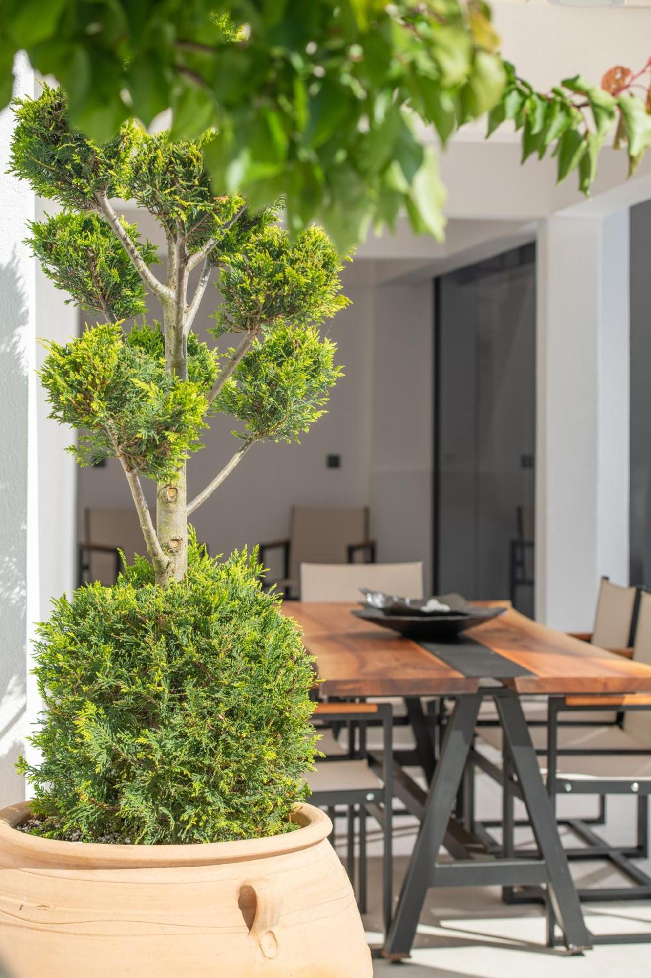Alexandrion Down Town Hotel de apartamente Sarti